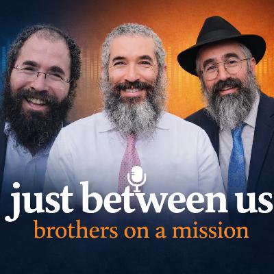 Mivtzah Matzah - The Dry Edition Mivtzah Matzah - The Dry Edition