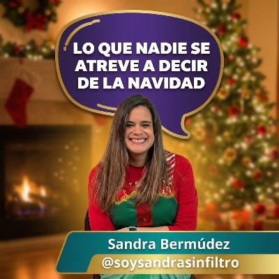 Lo que nadie se atreve a decir de la Navidad ( Expectativa vs Realidad)