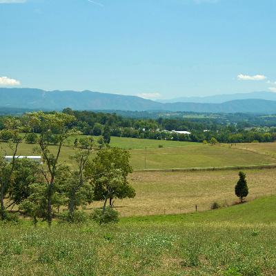 Judicial Branch Podcast: Tennessee Valley Authority v. Hill