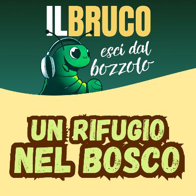UN RIFUGIO NEL BOSCO: lo sapete che esistono boschi privati aperti al pubblico? con Vittoria e Sara Ponzio UN RIFUGIO NEL BOSCO: lo sapete che esistono boschi privati aperti al pubblico? con Vittoria e Sara Ponzio