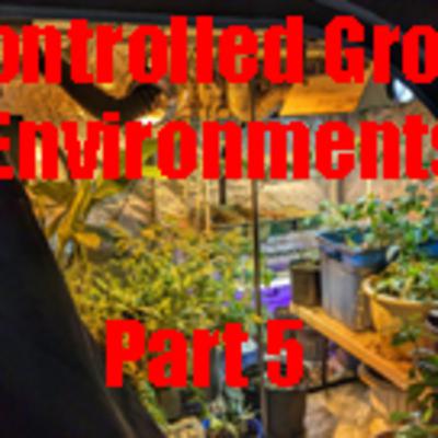 New Controlled Grow Environment Series 10 X 10 Grow Tent Introduction Build Part 5 New Controlled Grow Environment Series 10 X 10 Grow Tent Introduction Build Part 5
