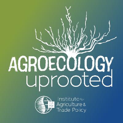 Introducing: Agroecology Uprooted