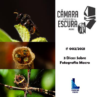 Dicas de Fotografia Macro