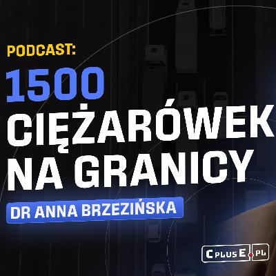 1500 ciężarówek utknęło na granicy 1500 ciężarówek utknęło na granicy