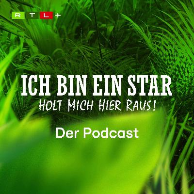 Trailer: Die neue IBES-Staffel!