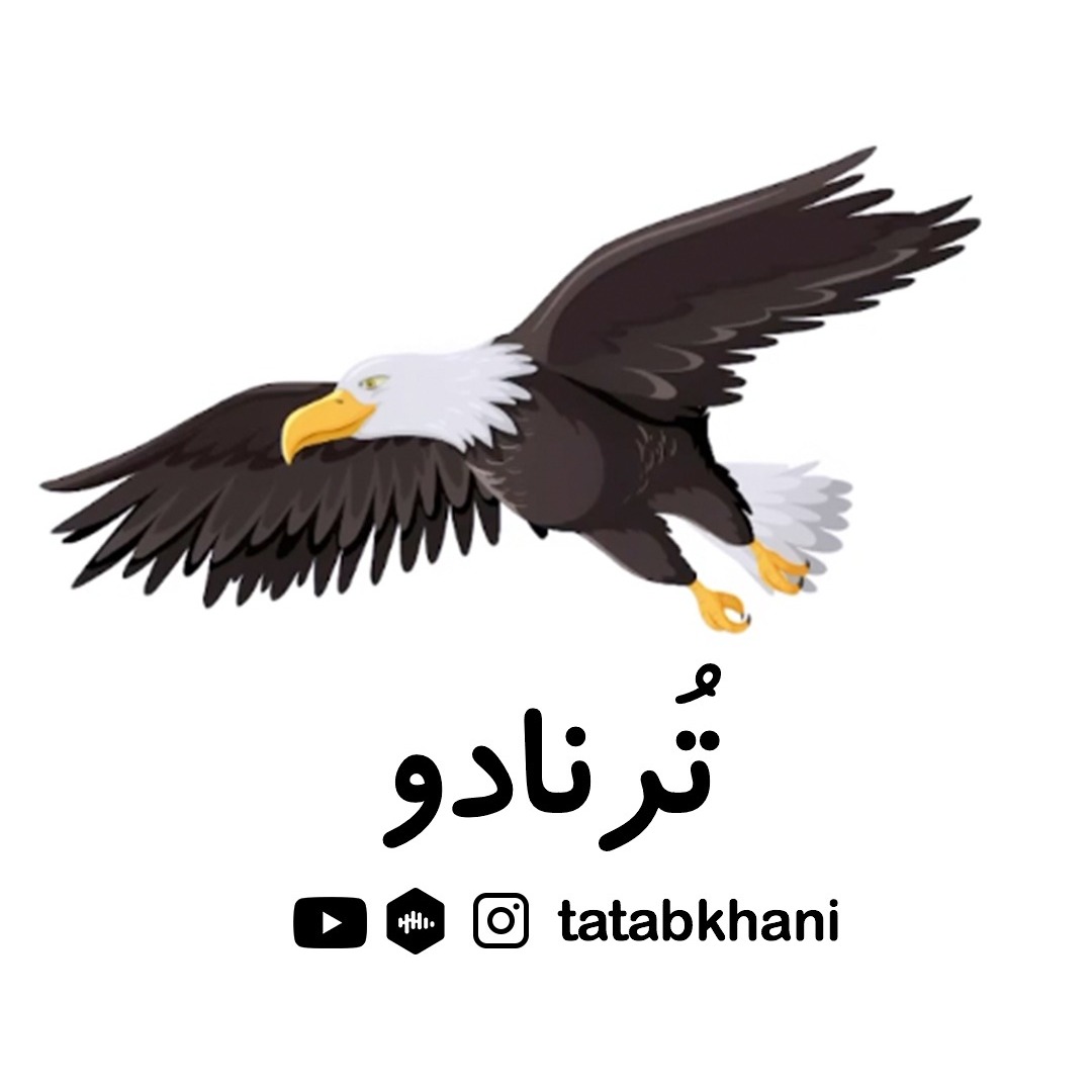 داستان عقاب - داستان پنجاه و چهارم : تُرنادو