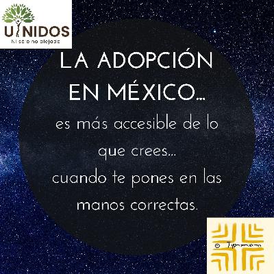 Adoptar es más fácil de lo que crees: Procesos de adopción en México.