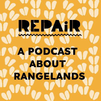Every grassland is different (with Kevin Kirkman)