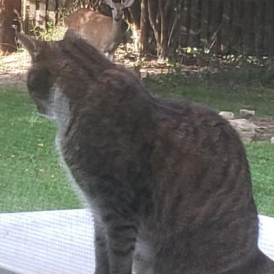 The Fourth Leg -- Practical Spirituality The Fourth Leg -- Practical Spirituality