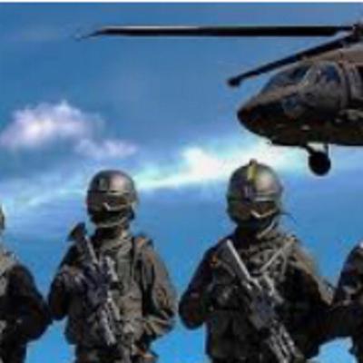 Segunda parte de la Primera Guerra Mundial