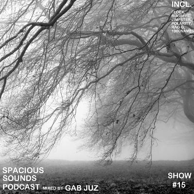 Spacious Sounds Podcast SHOW #15