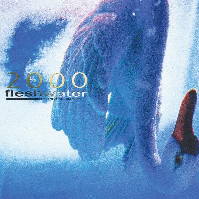 ALBUM REVIEW: Fleshwater - 2000: In Search of the Endless Sky