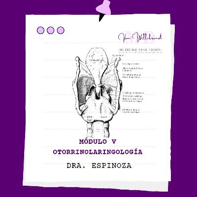84. PATOLOGÍAS DE OÍDO EXTERNO