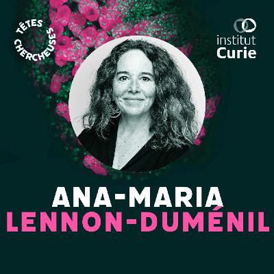 Imaginaire cellulaire & diversité scientifique avec Ana-Maria Lennon Dumenil– 2/2 Imaginaire cellulaire & diversité scientifique avec Ana-Maria Lennon Dumenil– 2/2