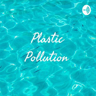 Plastic pollution AR
