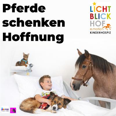 Abschied tut so weh: Pferde als einfühlsame Trauerbegleiter Abschied tut so weh: Pferde als einfühlsame Trauerbegleiter