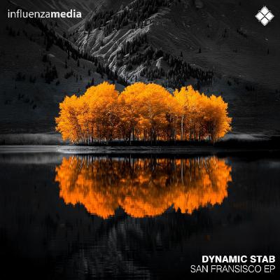 Dynamic Stab - Never Die