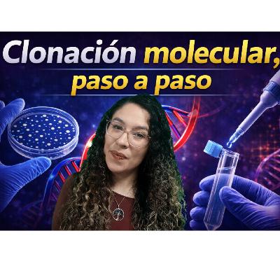 ¿Cómo se hace la clonación molecular con enzimas de restricción? ¿Cómo se hace la clonación molecular con enzimas de restricción?