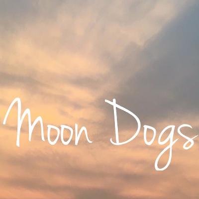 Duluth Band Profile: Moon Dogs