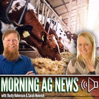 Morning Ag News, October 9, 2025: Dairy on beef cross gains popularity in the cattle industry