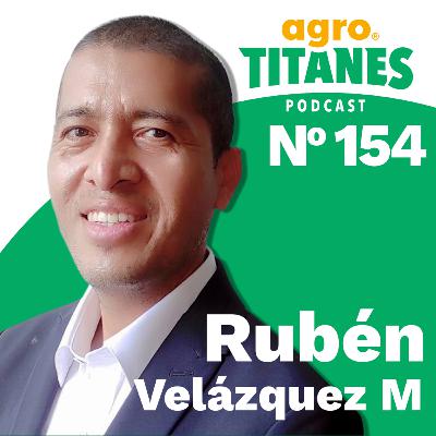 154 | Accountability e Innovación