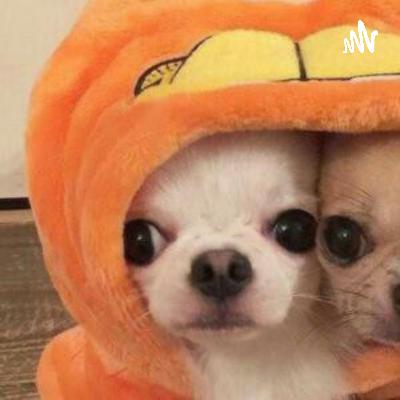 Naturaleza Jurídica del procedimiento administrativo en Guatemala