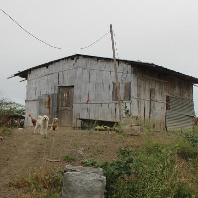 No encontramos a Rosita No encontramos a Rosita