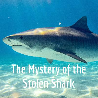 The Mystery of the Stolen Shark