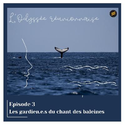 Les gardien.ne.s du chant des baleines - Episode 3 - L'Odyssée réunionnaise Les gardien.ne.s du chant des baleines - Episode 3 - L'Odyssée réunionnaise