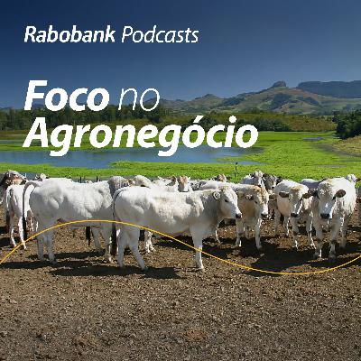 Olho no Mercado – México anuncia cotas de importação para carnes bovina e suína