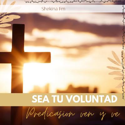 SEA TU VOLUNTAD