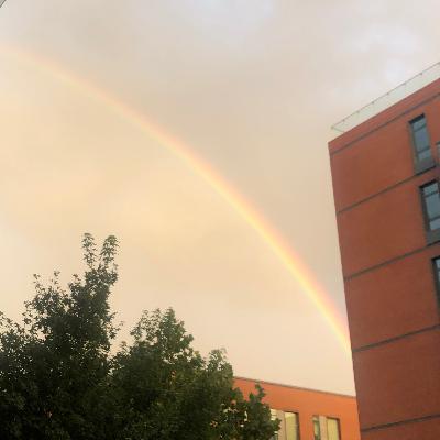 1-双减政策颁布一个月后，我被裁员了