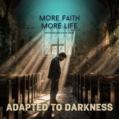 Adapted to Darkness | # 131