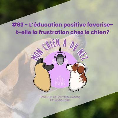 #63 - L’éducation positive favorise-t-elle la frustration chez le chien?