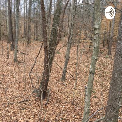 Fall and Winter Preparedness + Cooking Recipes