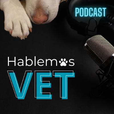 EP11 El regalo de Navidad