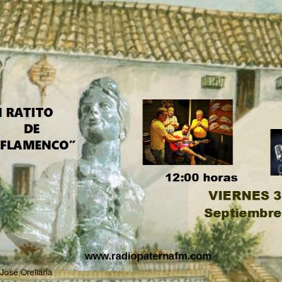 UN RATITO DE FLAMENCO-DOMINGO PERNILES UN RATITO DE FLAMENCO-DOMINGO PERNILES