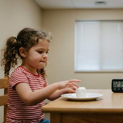 The Stanford Marshmallow Experiment – Delayed gratification and success