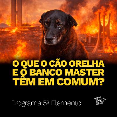 O Que o Cão Orelha e o Banco Master TÊM EM COMUM? | PROGRAMA 5º ELEMENTO