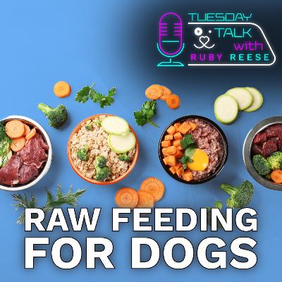 Raw Feeding for Dogs