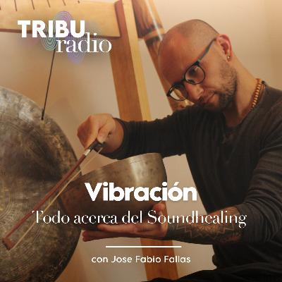 WELLPRENEURS | Vibración: Todo acerca del Sound Healing con Jose Fabio Fallas.