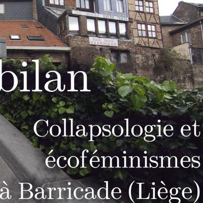 Bilan - Collapsologie et écoféminismes à Liège