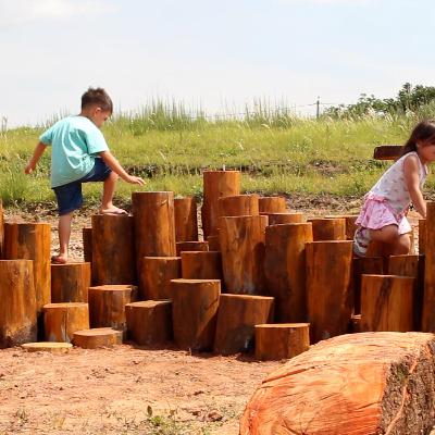 Uma praça naturalizada em Santa Maria/RS: conversa com Gui Blauth