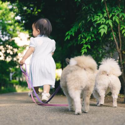 久しぶりに『ゆびたこ』のお話