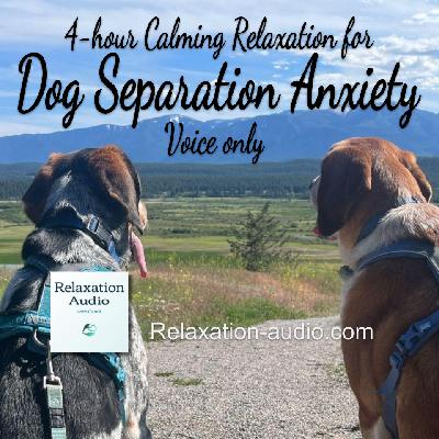 4-hour Calming Relaxation for Dog Separation Anxiety (voice only)