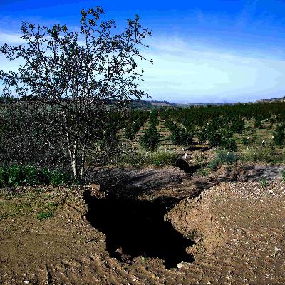 Rompent la terra Rompent la terra