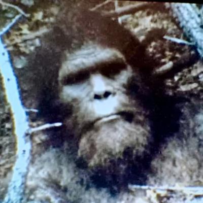 I'm a Cryptid HITMAN, Stay Far Away From the Mesa Verde National Park, Colorado I'm a Cryptid HITMAN, Stay Far Away From the Mesa Verde National Park, Colorado