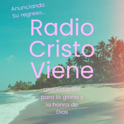 La Biblia Tiene Palabras Que Ofenden, Pero El Discernimiento Me Lo Aclara