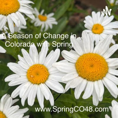 Planting the Seeds of Freedom