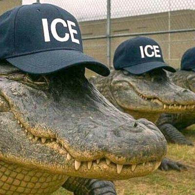 Premium Episode 62: Cold as ICE, Part 6 (Sample)